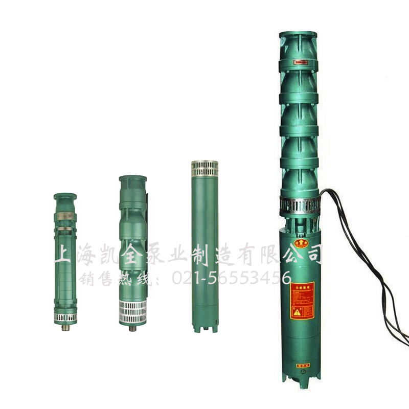 上海凱全泵業(yè) 上海凱全泵業(yè)