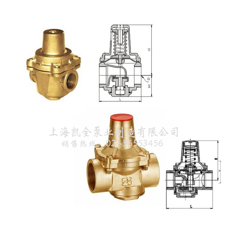 上海凱全泵業(yè) 上海凱全泵業(yè)